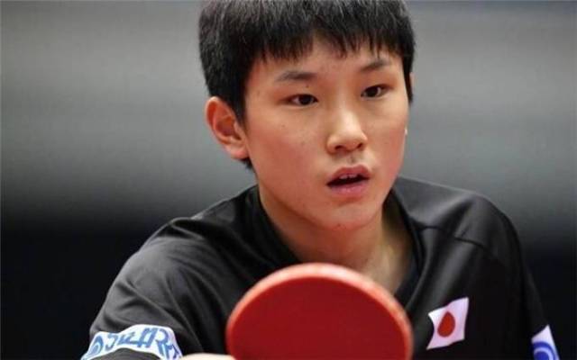 的报道不仅 的报道不仅