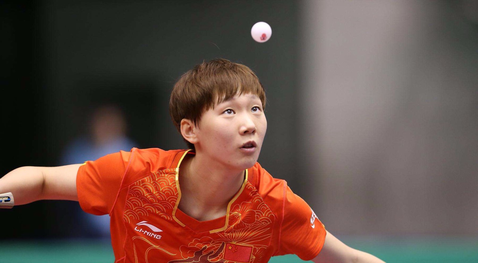 和不懈努力 和不懈努力